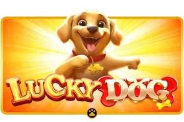 Trải nghiệm cá cược thể thao và casino trực tuyến trên mobile tại tt88 game